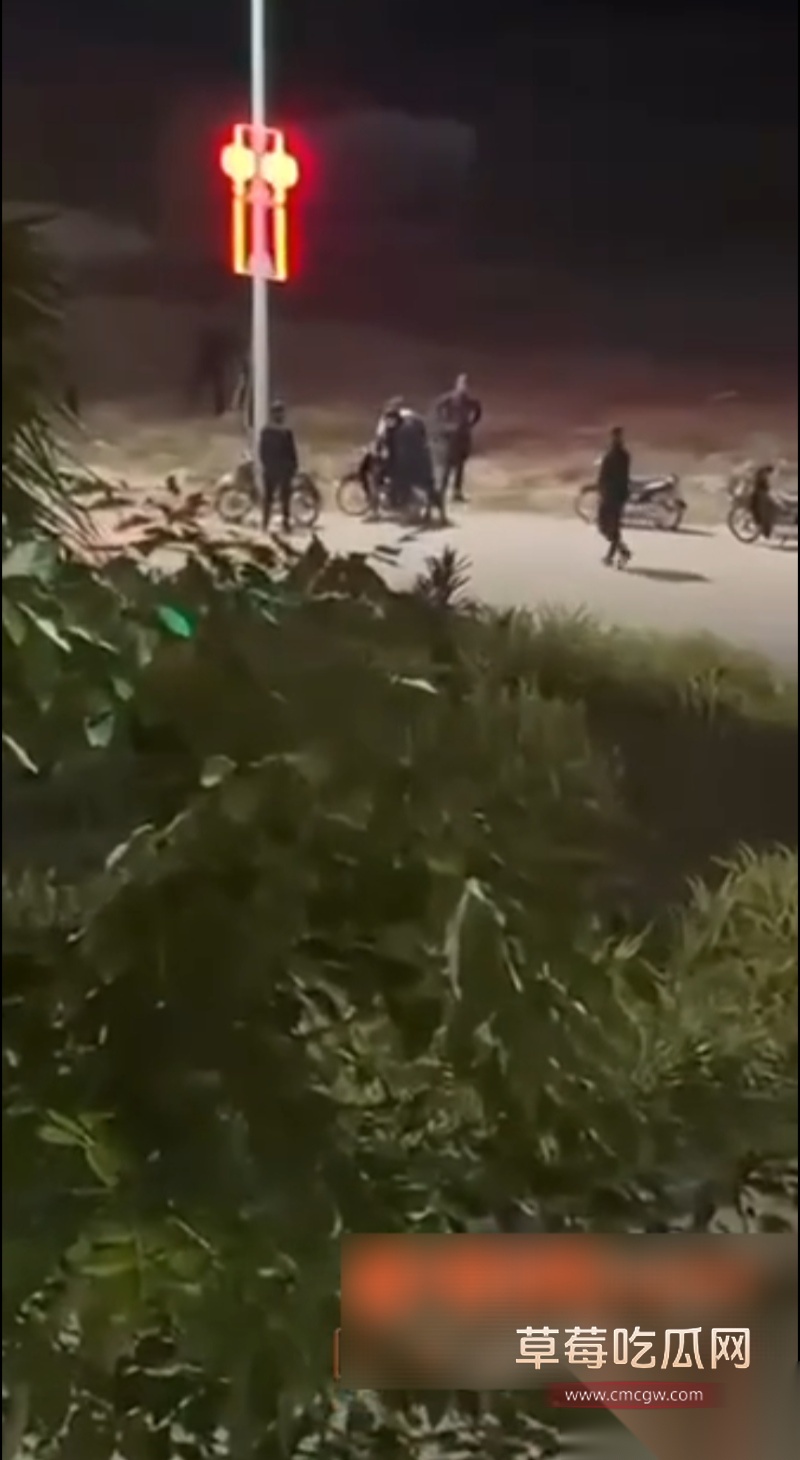 柬埔寨最黑暗园区 1 柬埔寨最黑暗园区 1