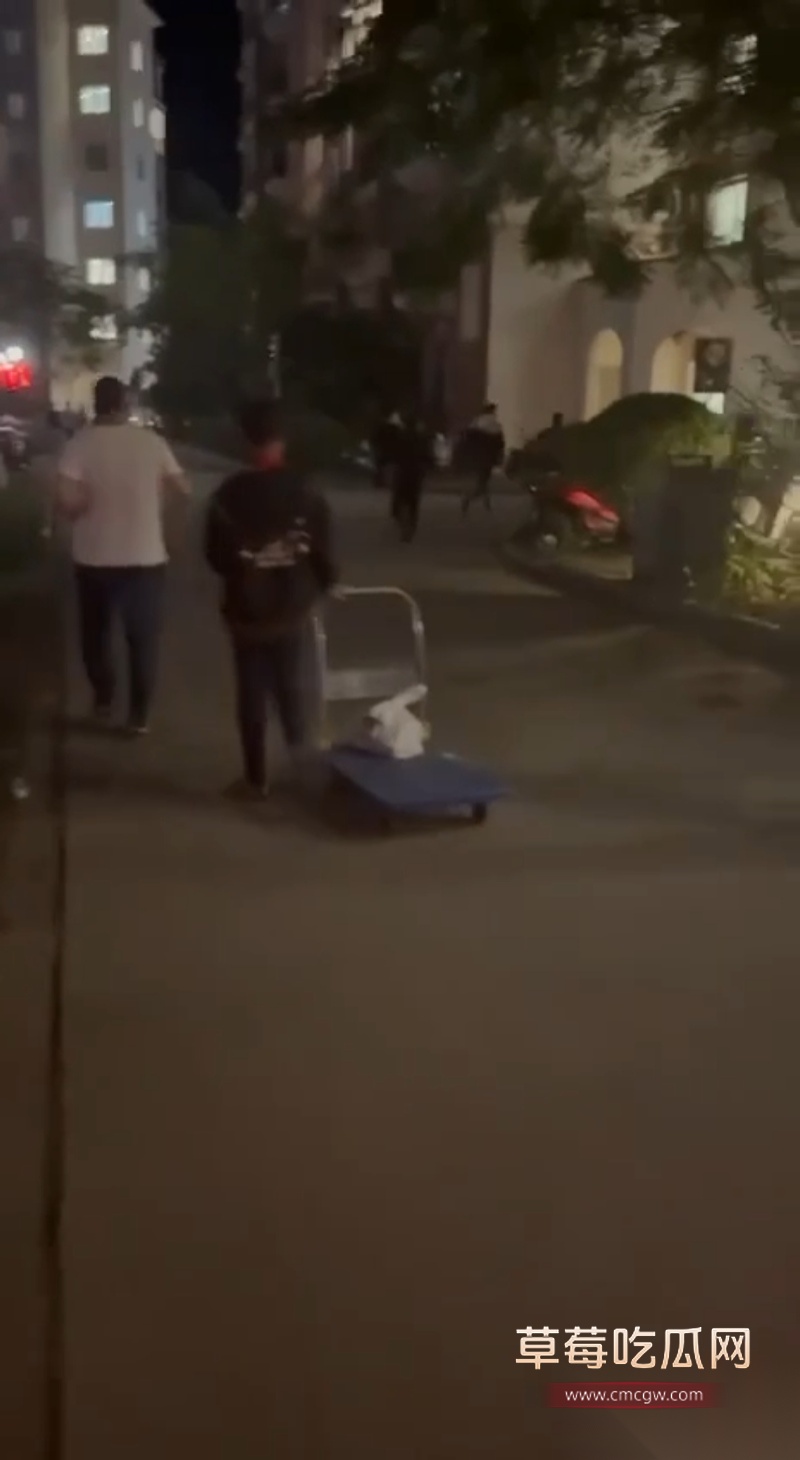 柬埔寨最黑暗园区 4 柬埔寨最黑暗园区 4