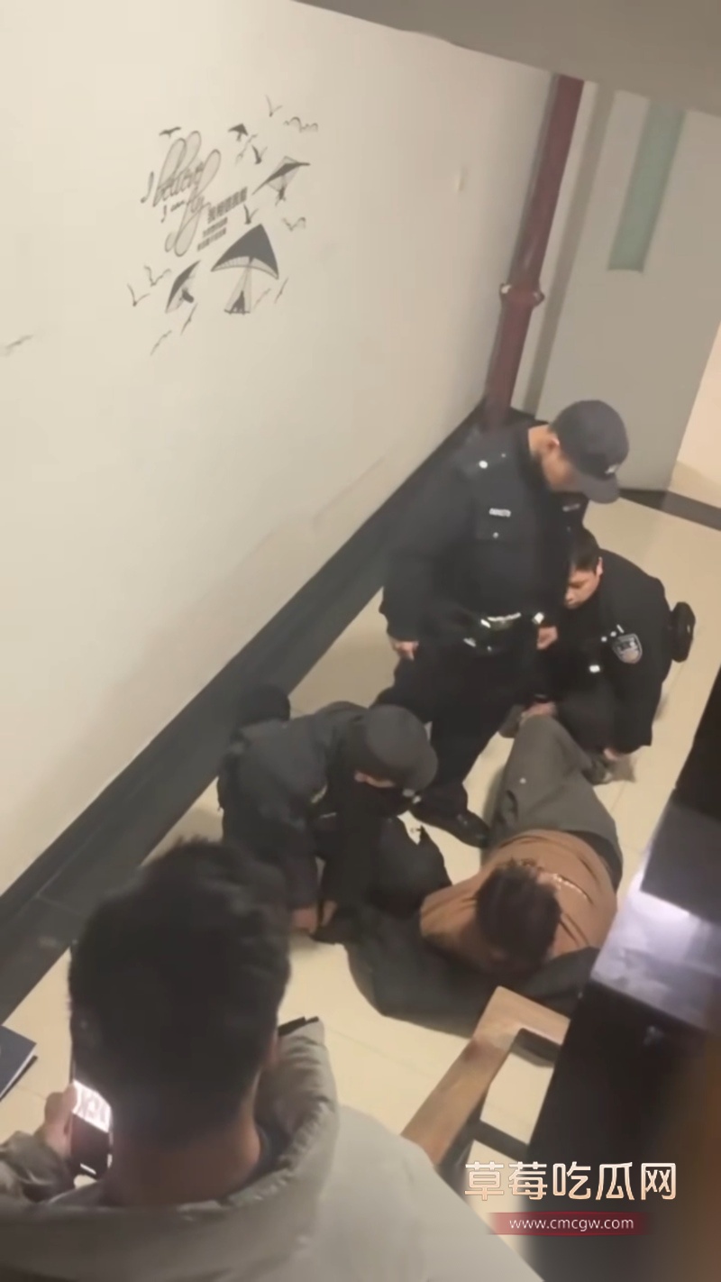 大学生熬夜写二次元小说写疯癫 3 大学生熬夜写二次元小说写疯癫 3