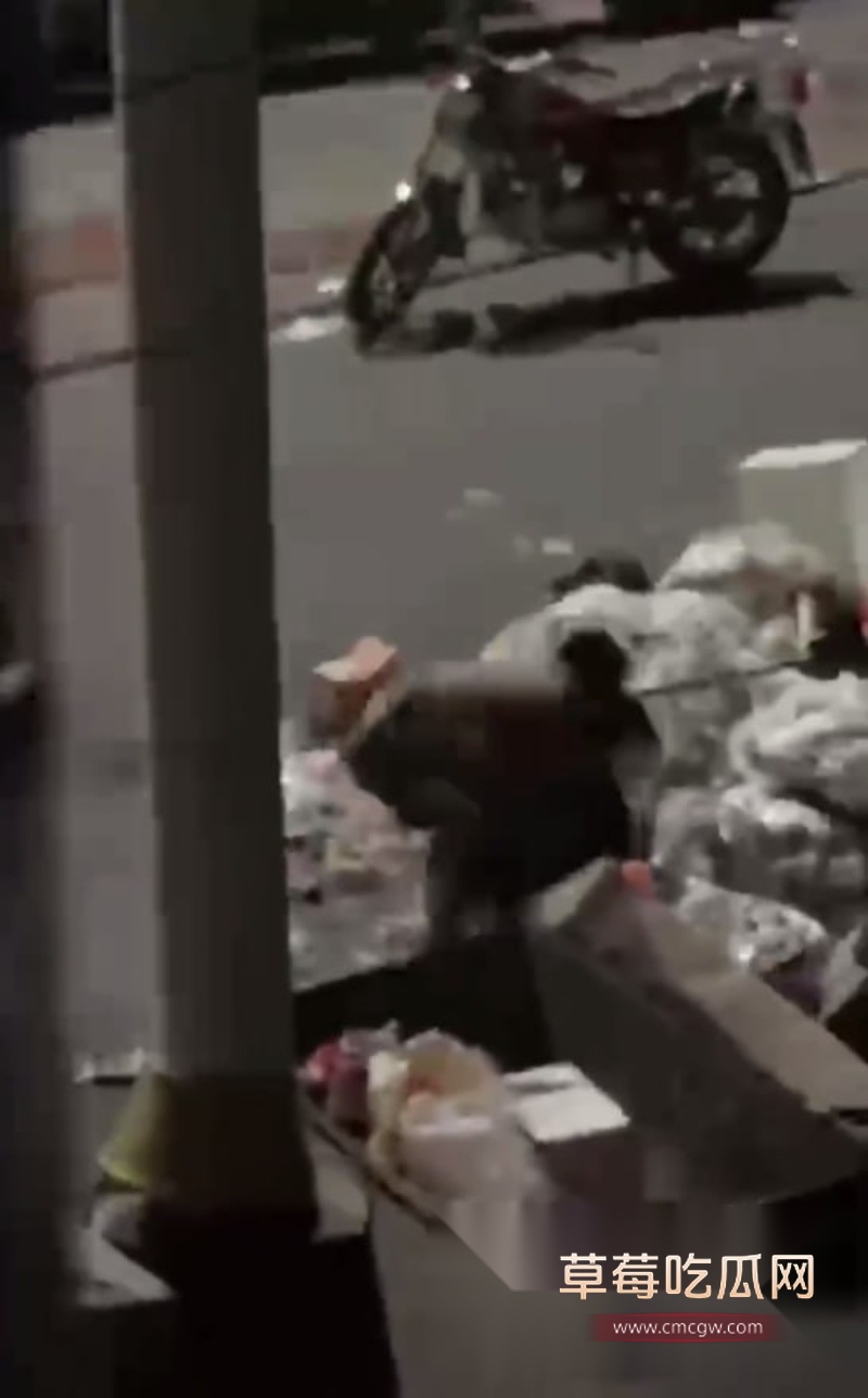 photo20260120182614W800px photo20260120182614W800px