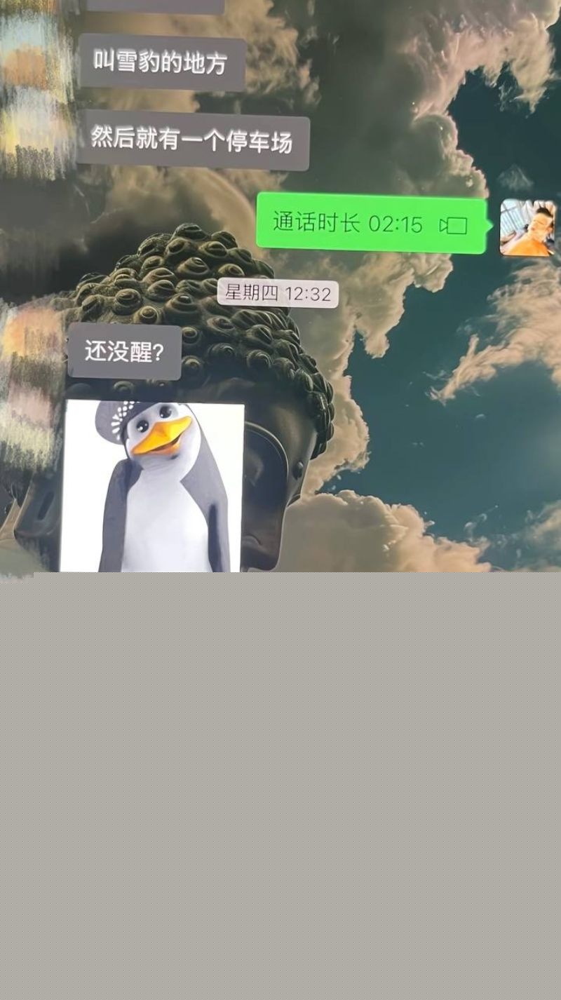 藏族男网红董朱聊天记录16 藏族男网红董朱聊天记录16