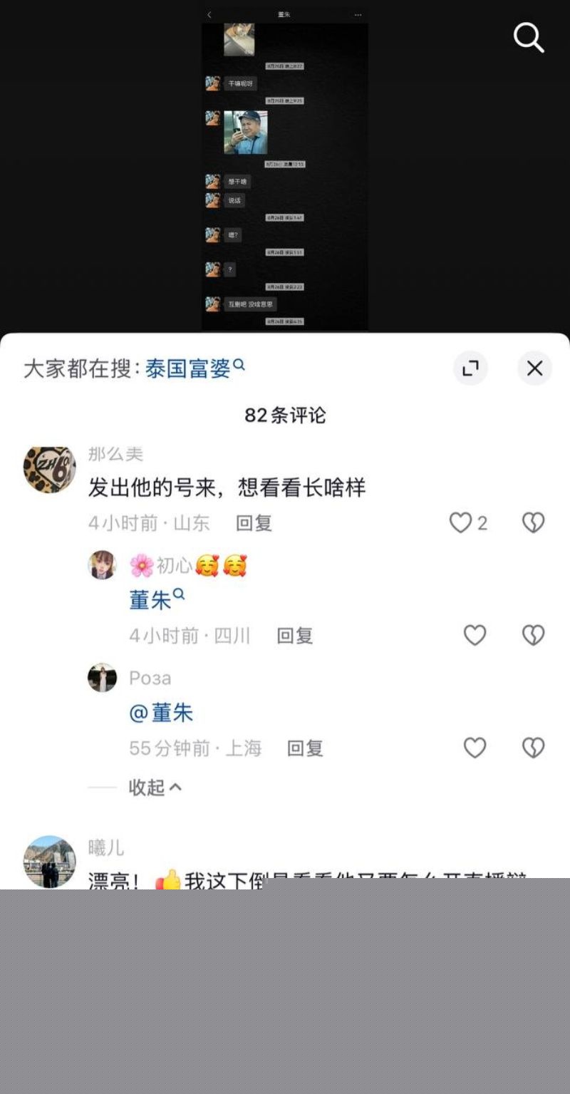 董朱多次出轨家暴原配6 董朱多次出轨家暴原配6