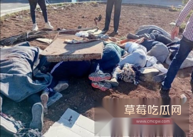 叙利亚惊现大量女兵被虐杀 ISIS极端恐怖组织 4 叙利亚惊现大量女兵被虐杀 ISIS极端恐怖组织 4