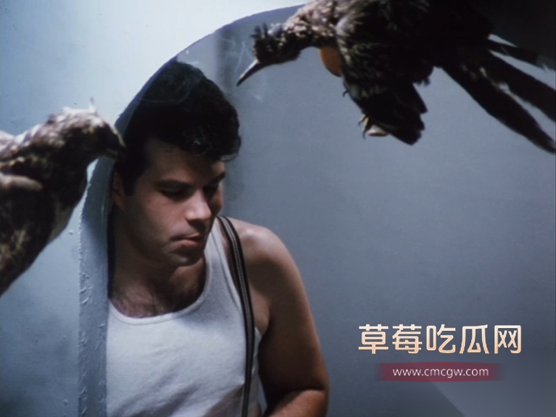 肉欲咖啡馆 Café Flesh 1985