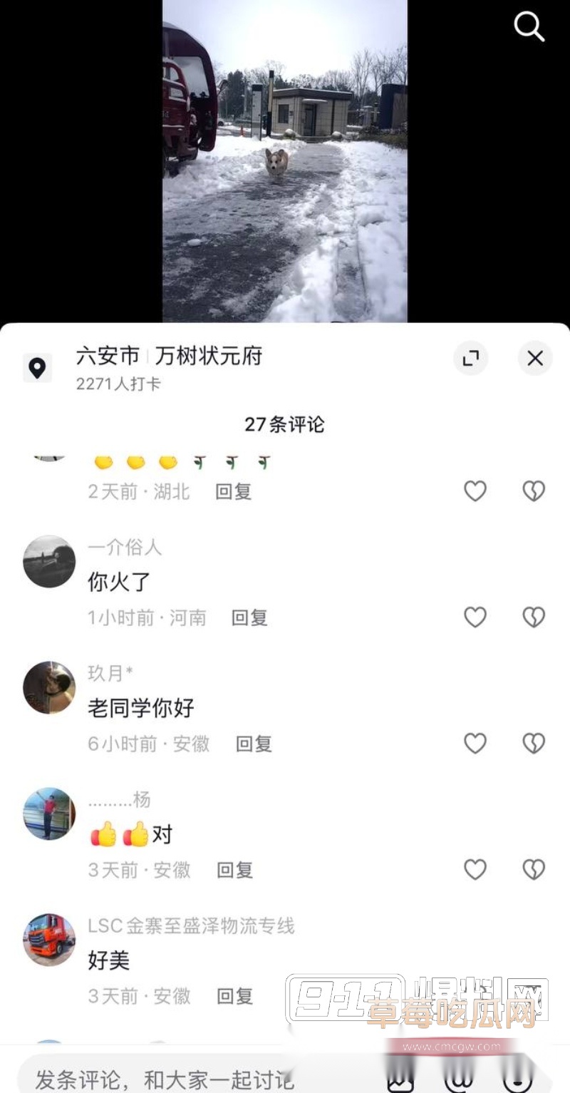 photo20260125215847W800px photo20260125215847W800px