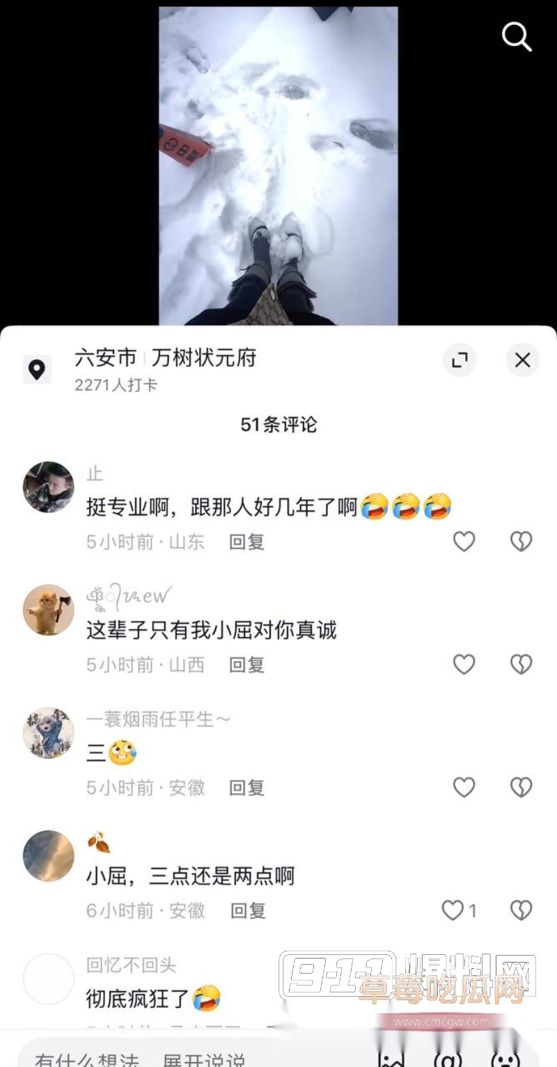 photo20260125215853W800px photo20260125215853W800px