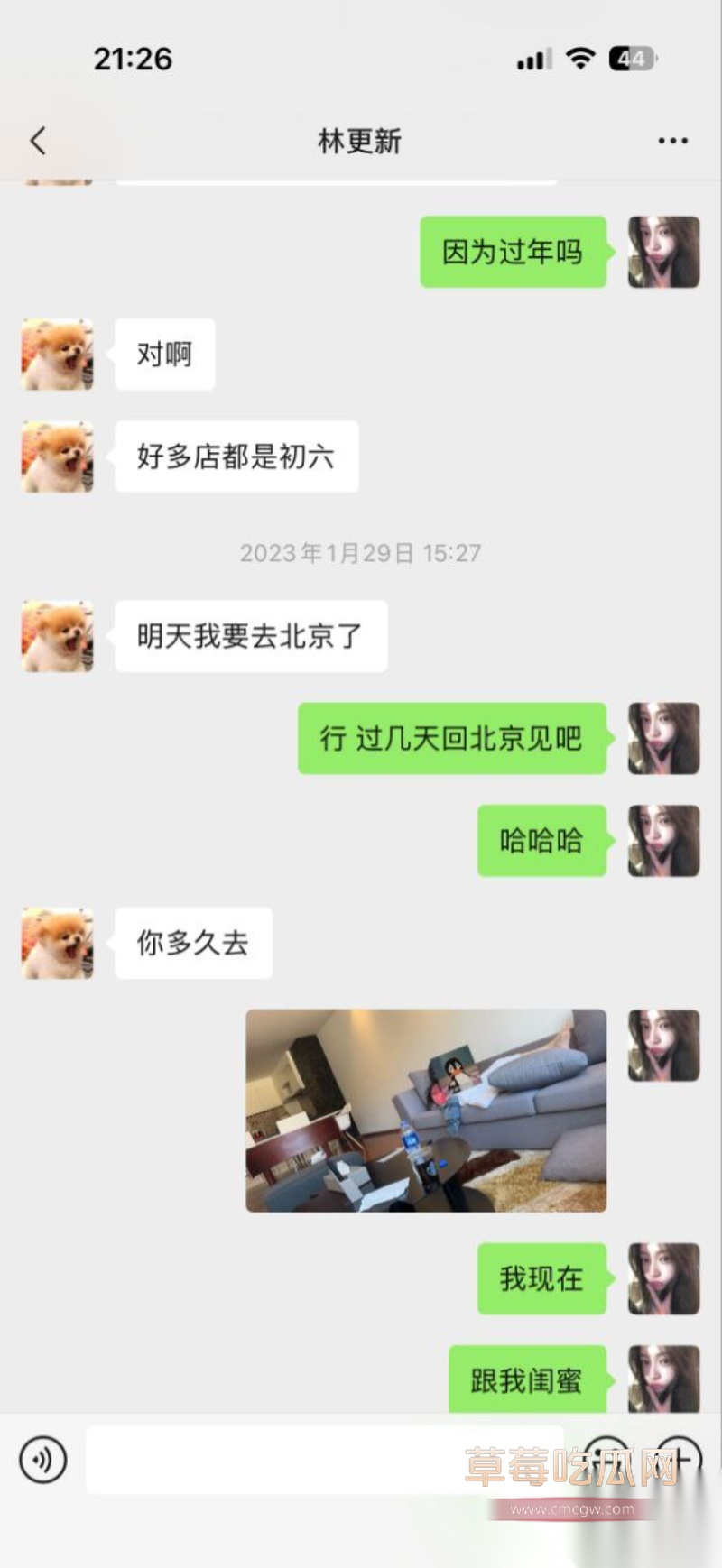 微博司晓迪深夜放锤 17