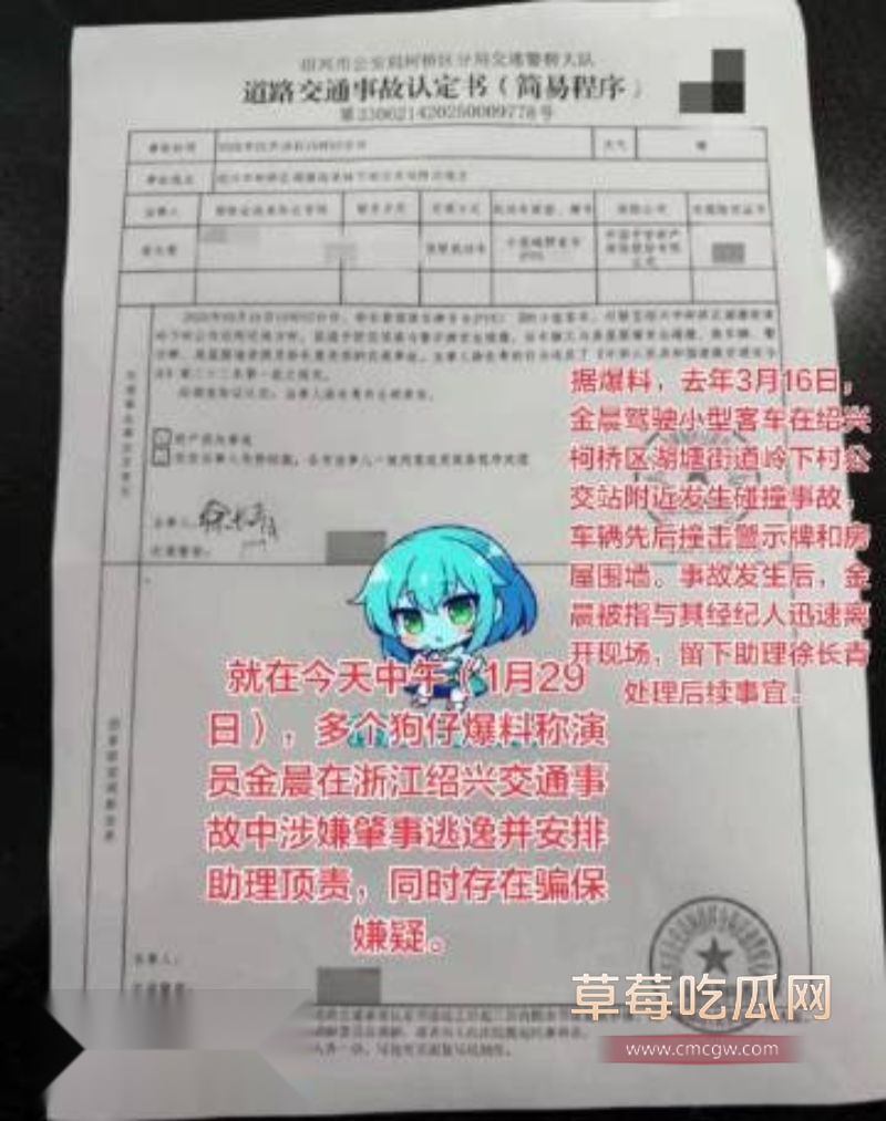 金晨肇事逃逸后助理顶包1