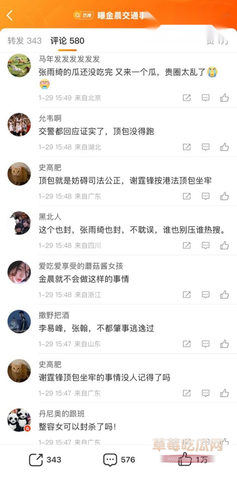 金晨肇事逃逸引起网友广泛关注1