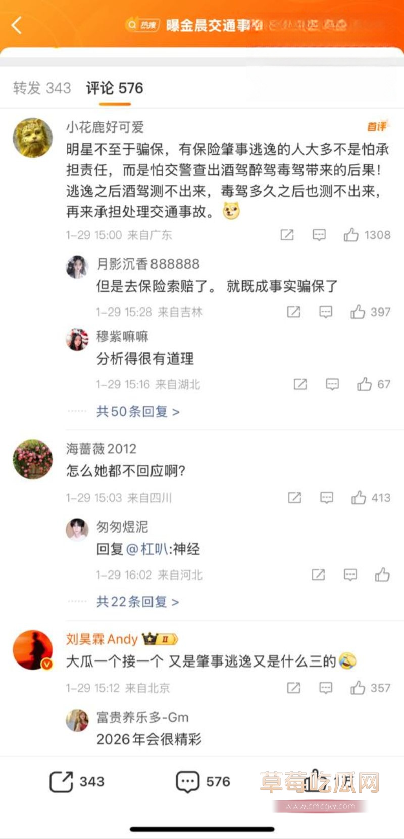 金晨肇事逃逸引起网友广泛关注2