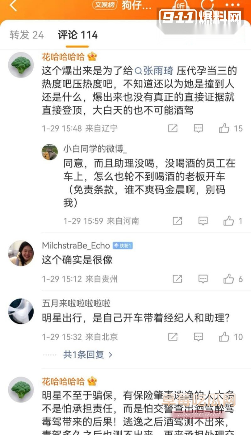 金晨肇事逃逸引起网友广泛关注4