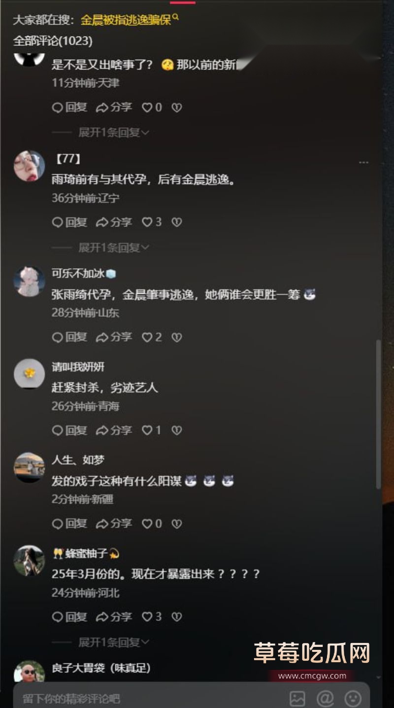 金晨肇事逃逸引起网友广泛关注6