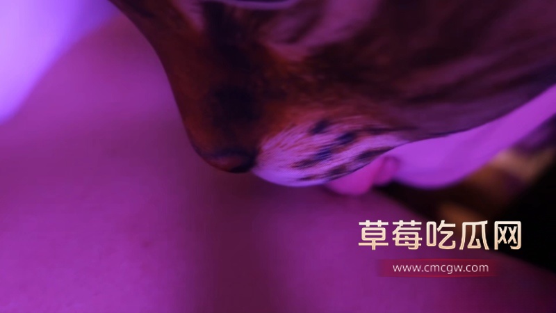 老虎菜SVIP独家新作 13 老虎菜SVIP独家新作 13