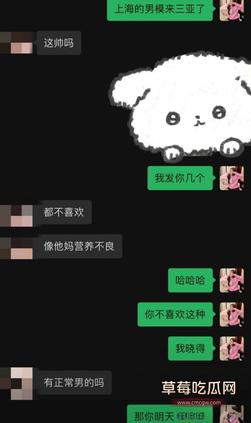 孟可佳与同行好友及张露文的聊天记录4 孟可佳与同行好友及张露文的聊天记录4