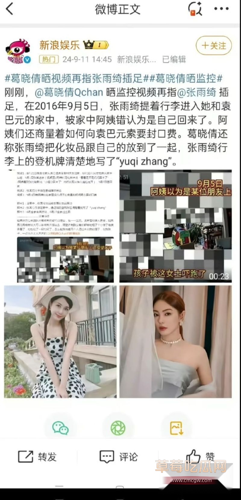 张雨绮代孕黑料被葛晓倩爆料10