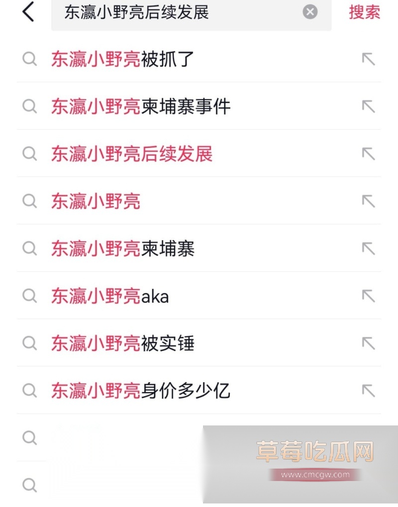 百万粉丝网红东瀛小野亮柬埔寨狂欢翻车 11 百万粉丝网红东瀛小野亮柬埔寨狂欢翻车 11