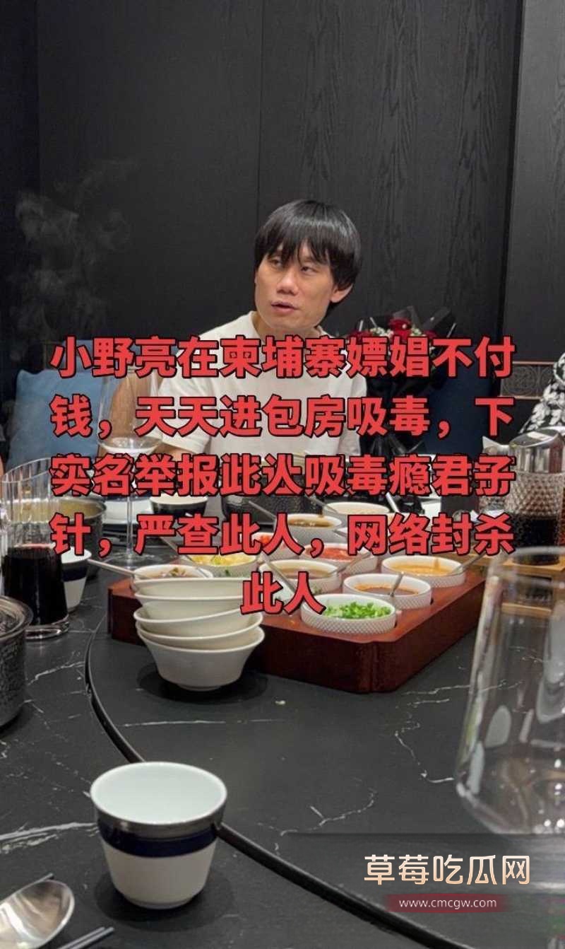 百万粉丝网红东瀛小野亮柬埔寨狂欢翻车 17 百万粉丝网红东瀛小野亮柬埔寨狂欢翻车 17