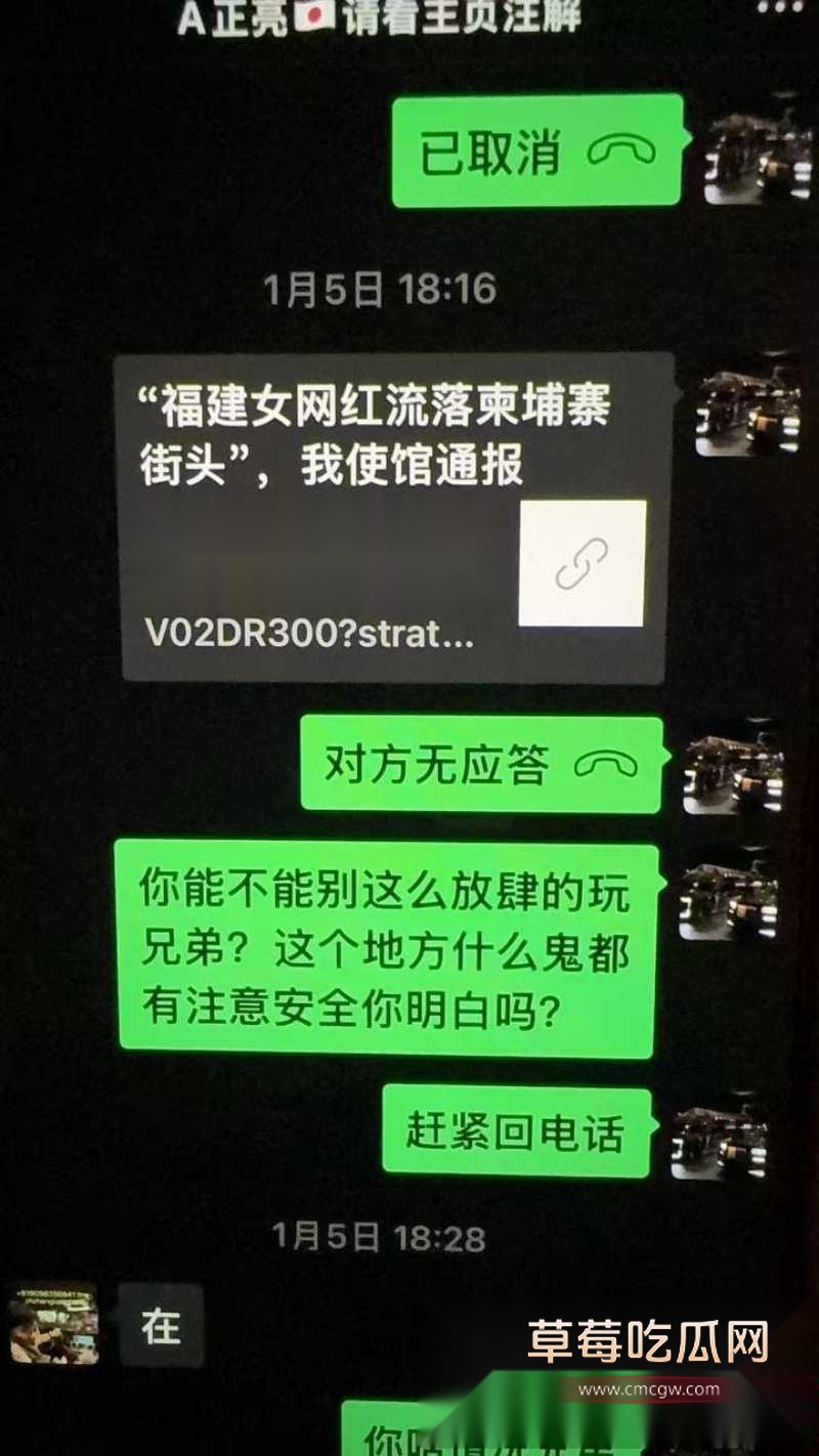 百万粉丝网红东瀛小野亮柬埔寨狂欢翻车 23 百万粉丝网红东瀛小野亮柬埔寨狂欢翻车 23