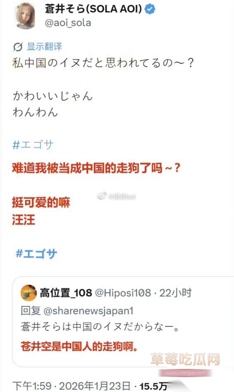 日本超人气偶像 苍井空 26