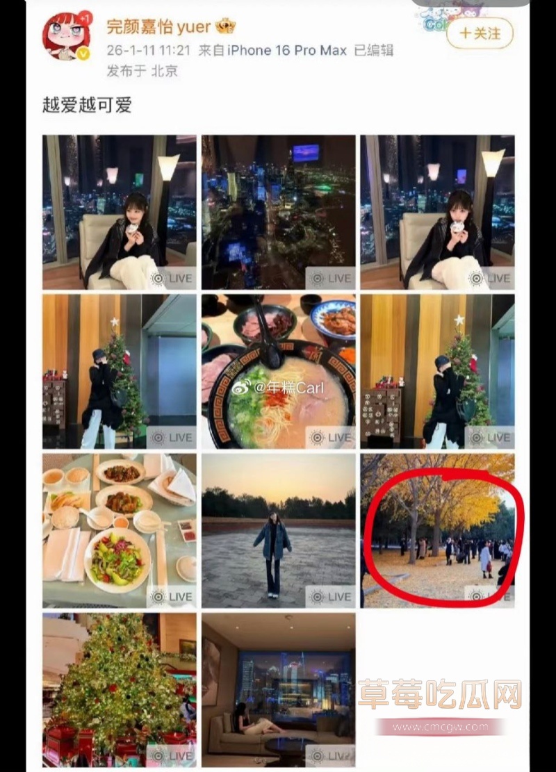 陈雪凝新婚7天陷出轨风波 8