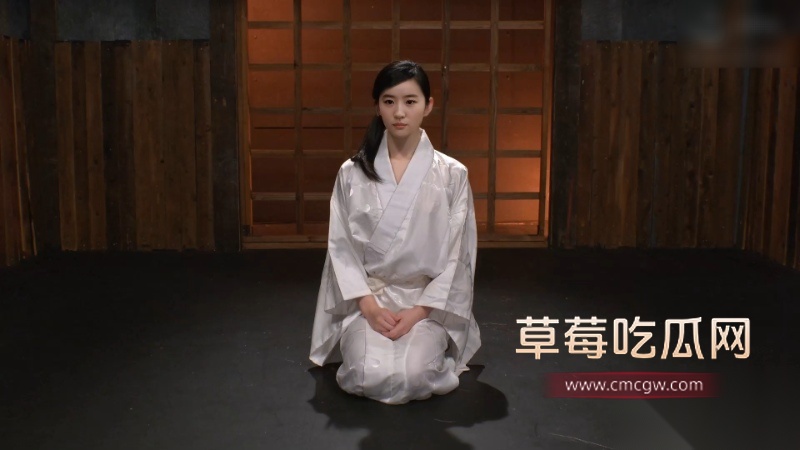 AI换脸明星 刘亦菲 13