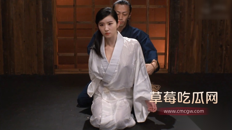 AI换脸明星 刘亦菲 2