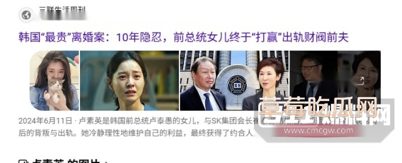 卢素英 15 卢素英 15