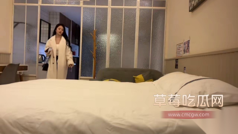 3000约会御姐型大美女 17 3000约会御姐型大美女 17