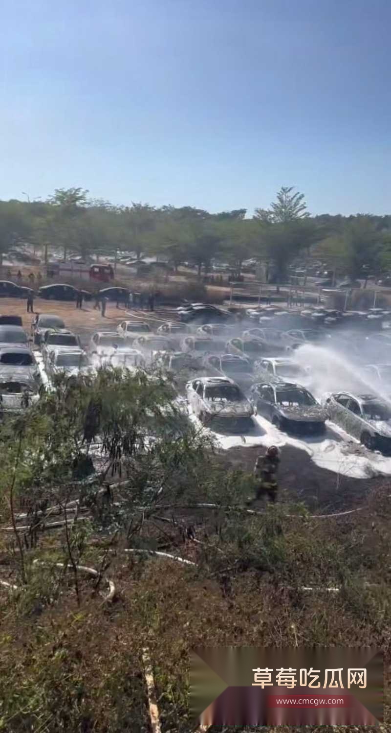 停车场突发大火 2