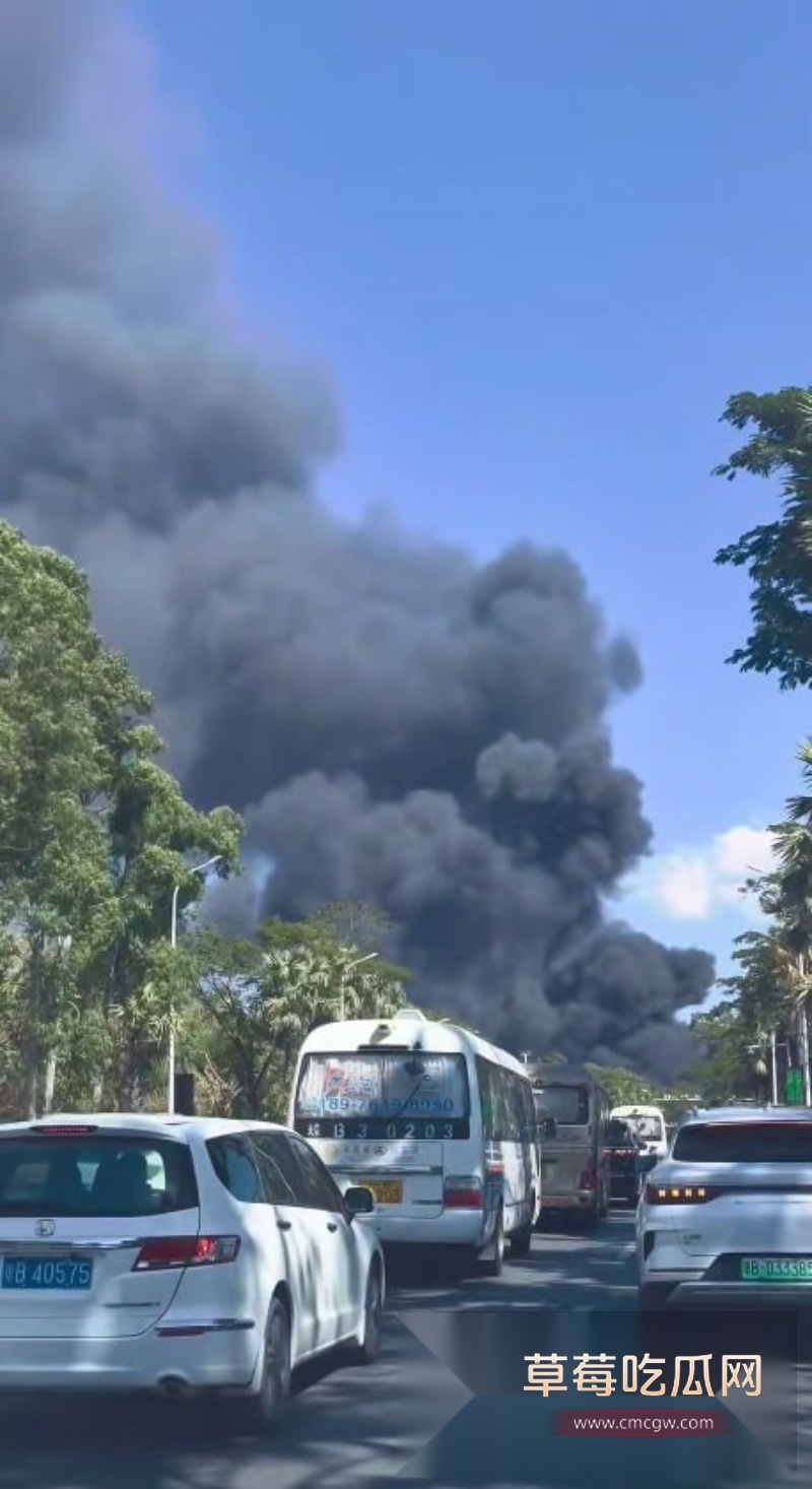 停车场突发大火 3