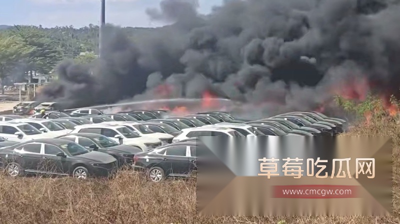 停车场突发大火 7