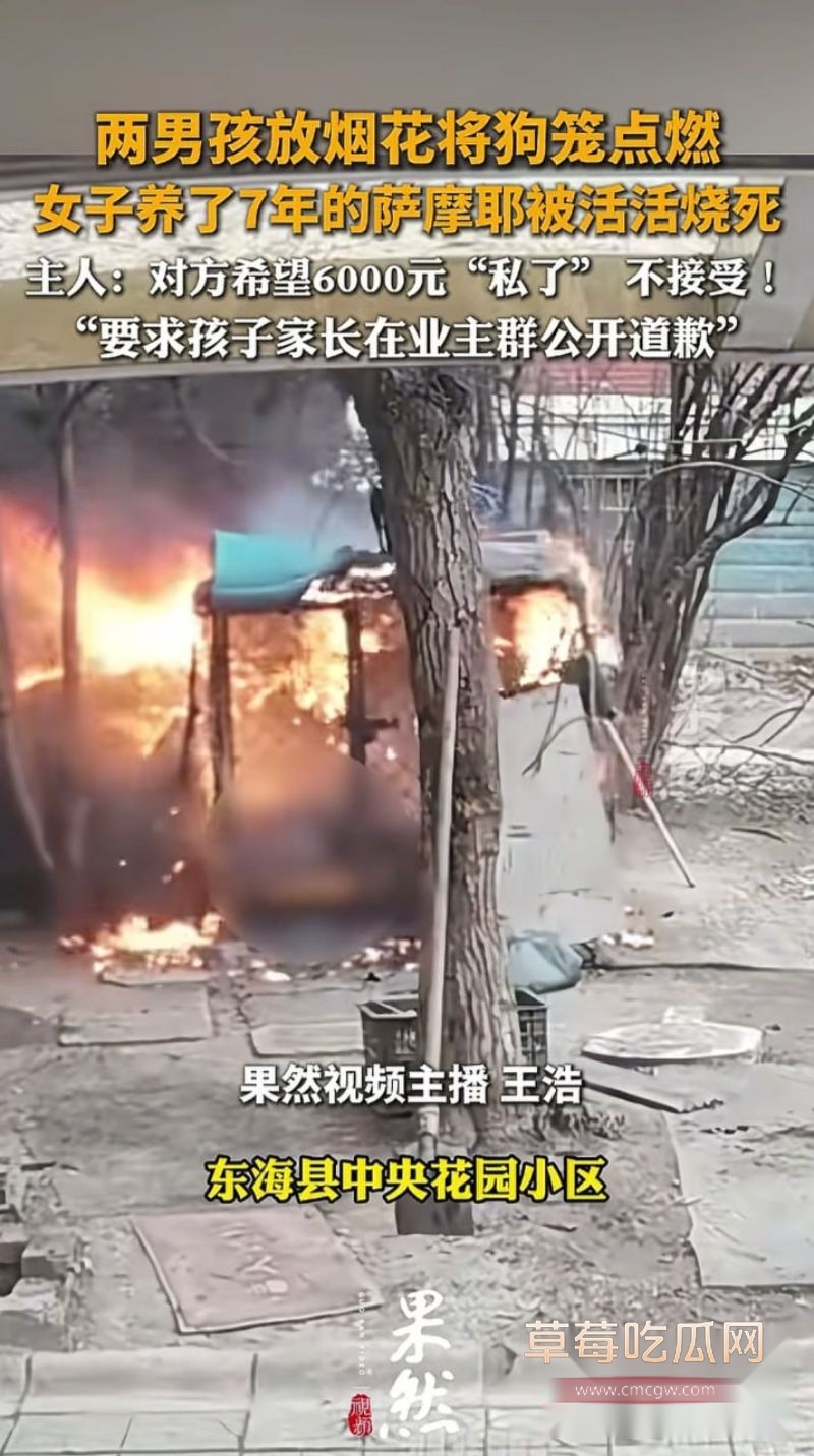 连云港烧狗事件引发网友评论2 连云港烧狗事件引发网友评论2