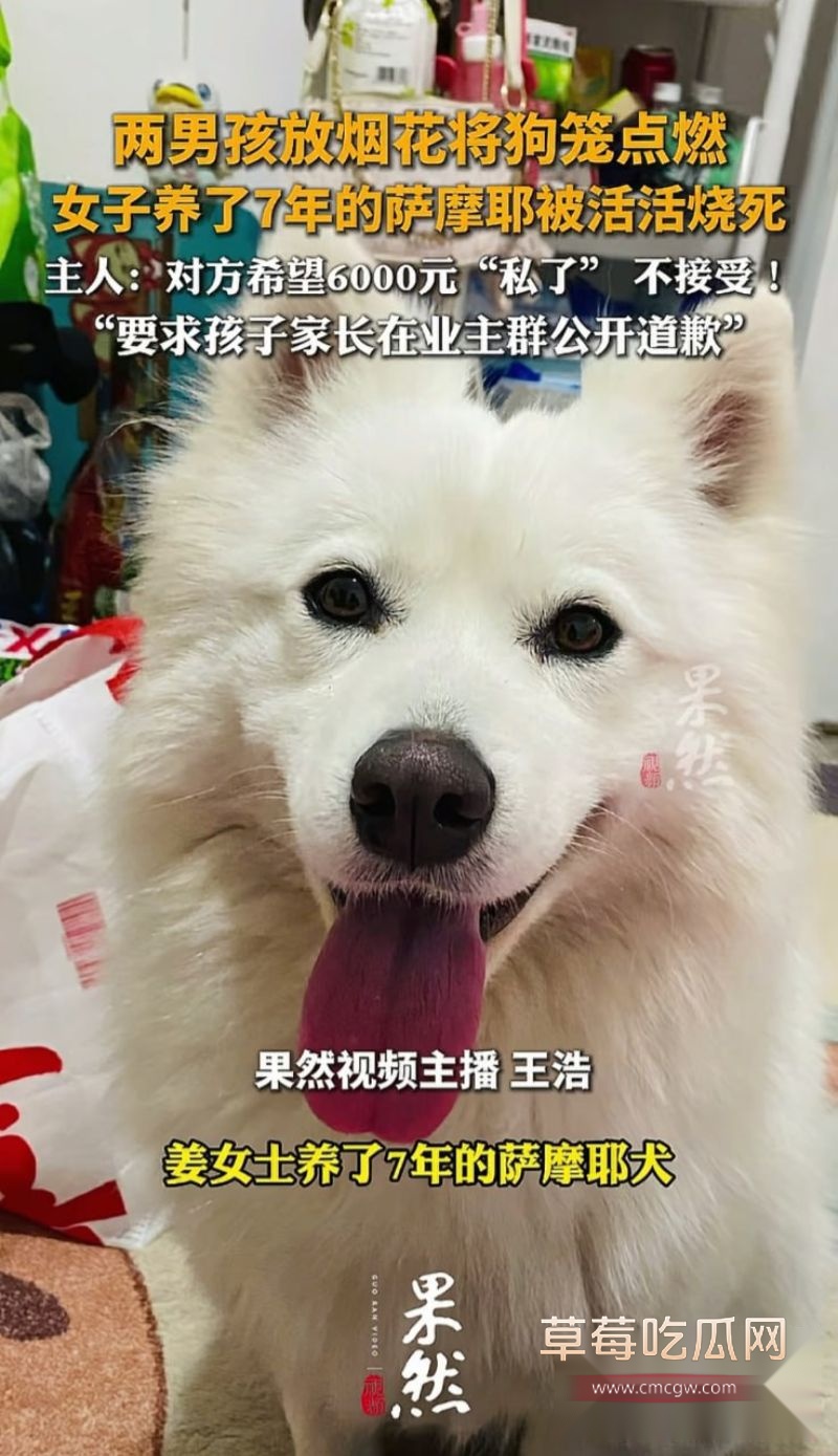 连云港烧狗事件引发网友评论3 连云港烧狗事件引发网友评论3