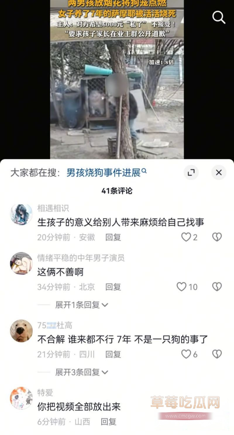 连云港烧狗事件引发网友评论4 连云港烧狗事件引发网友评论4