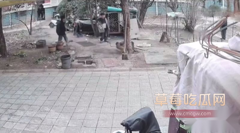 连云港烧狗事件监控视频1 连云港烧狗事件监控视频1