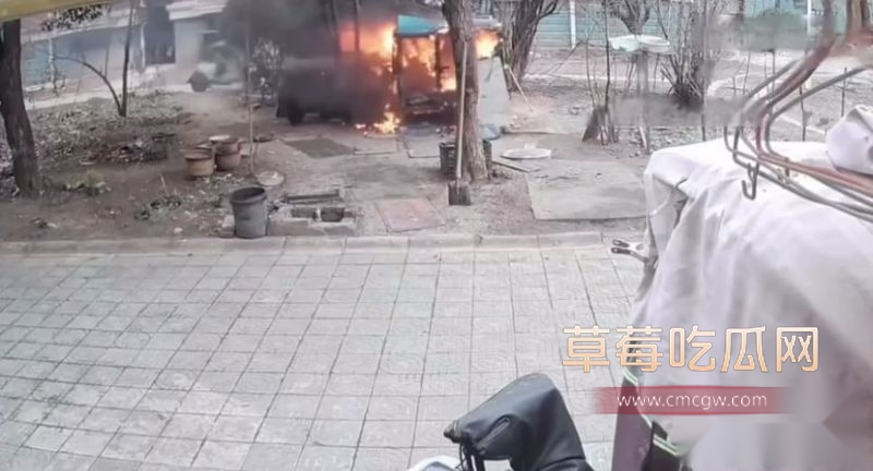 连云港烧狗事件监控视频4 连云港烧狗事件监控视频4