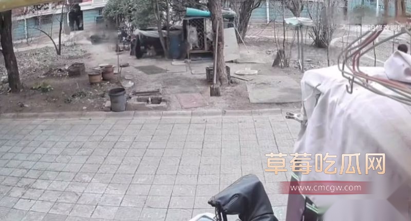 连云港烧狗事件监控视频5 连云港烧狗事件监控视频5