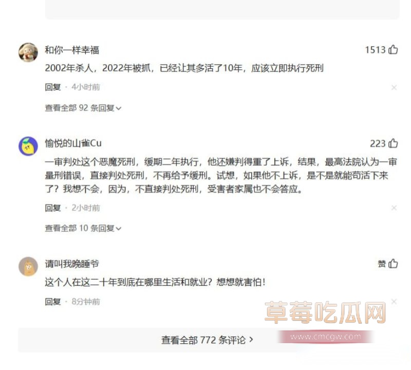 网友评论以及案件详情10