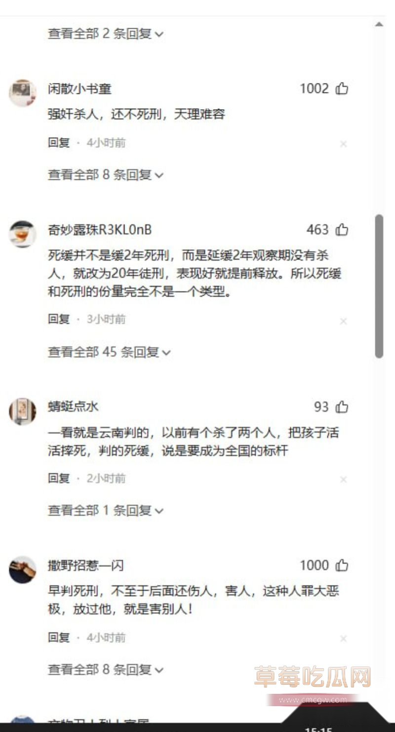 网友评论以及案件详情12
