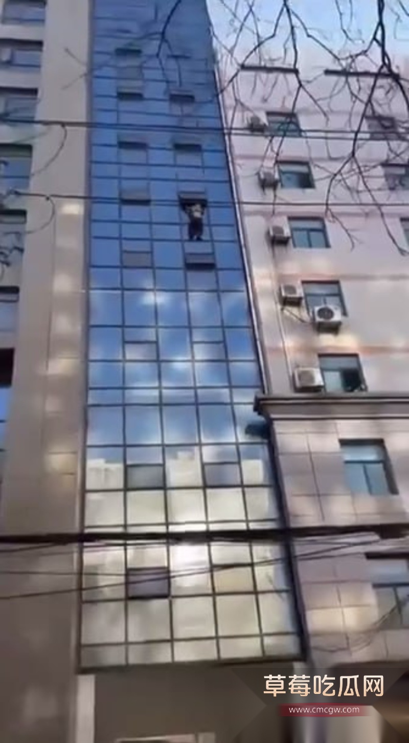 男子偷情被抓翻窗失手坠楼 7