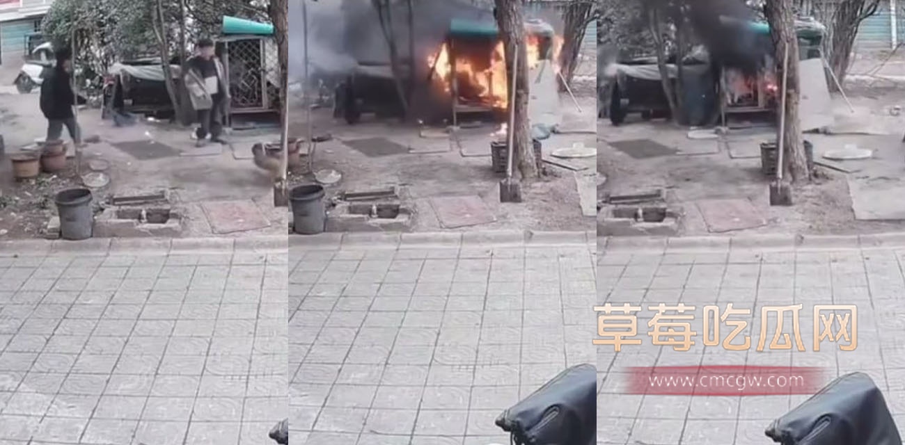 连云港两个熊孩子故意将狗笼点燃.jpg 连云港两个熊孩子故意将狗笼点燃.jpg