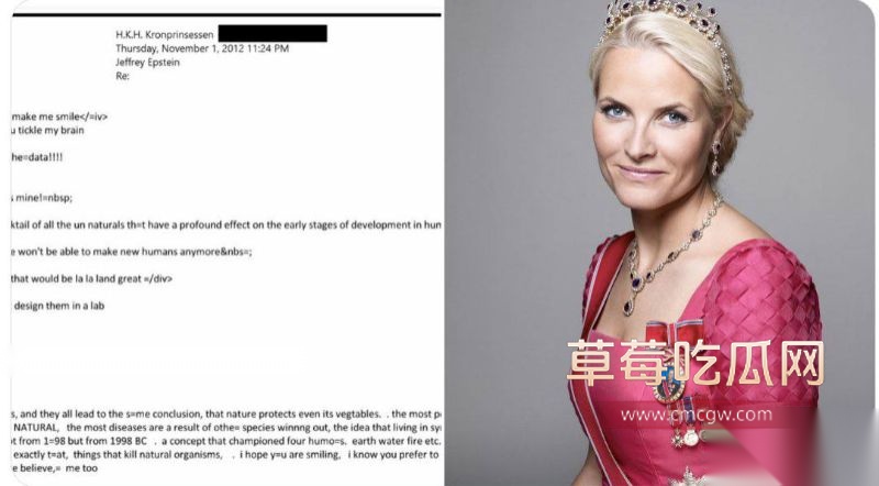 梅特·玛丽特和爱泼斯坦1 梅特·玛丽特和爱泼斯坦1