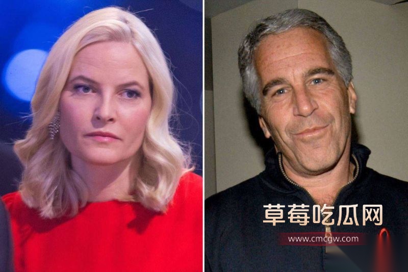 梅特·玛丽特和爱泼斯坦9 梅特·玛丽特和爱泼斯坦9