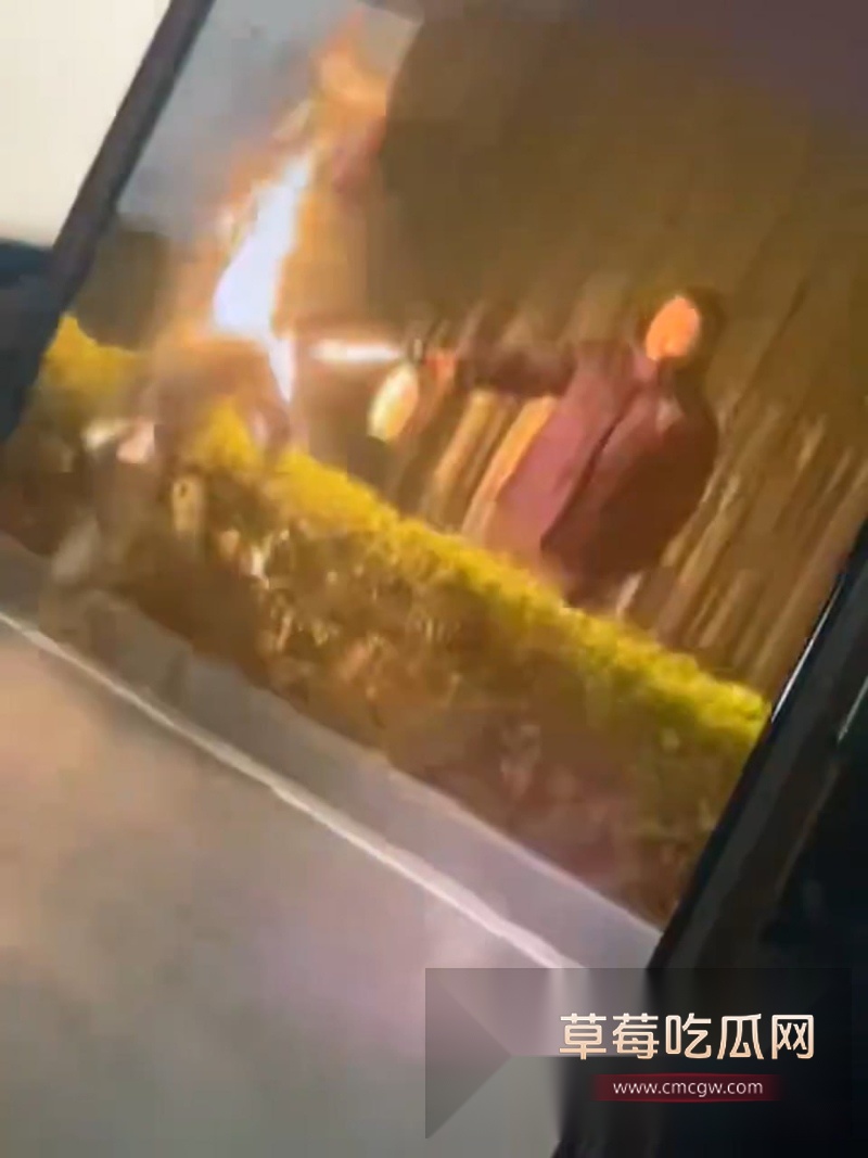 老婆车震偷情 8