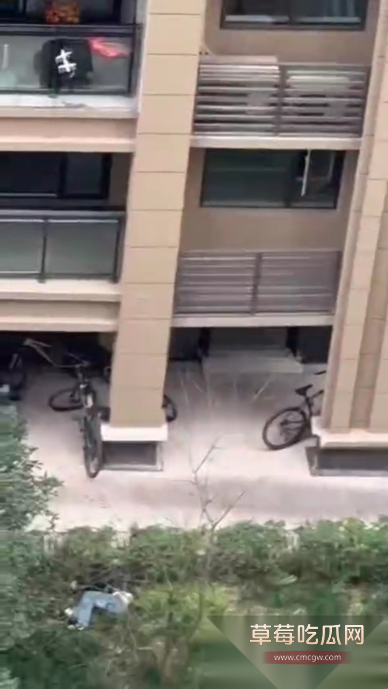 重庆一中学生打和平精英冲段失败跳楼 19