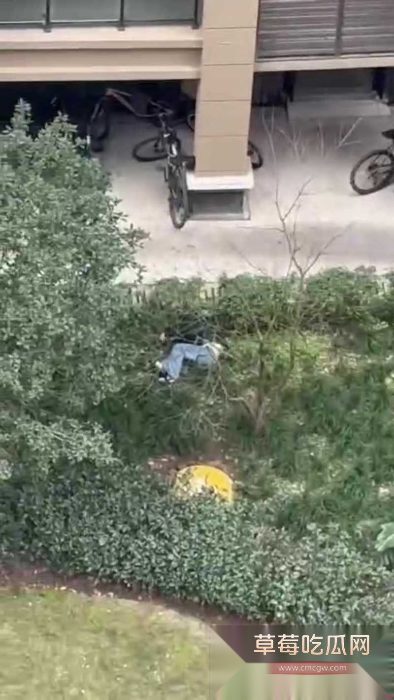 重庆一中学生打和平精英冲段失败跳楼 20