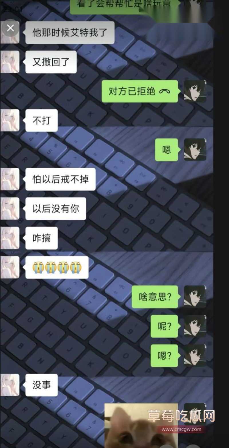 王淑艳的聊天记录以及网友评价4