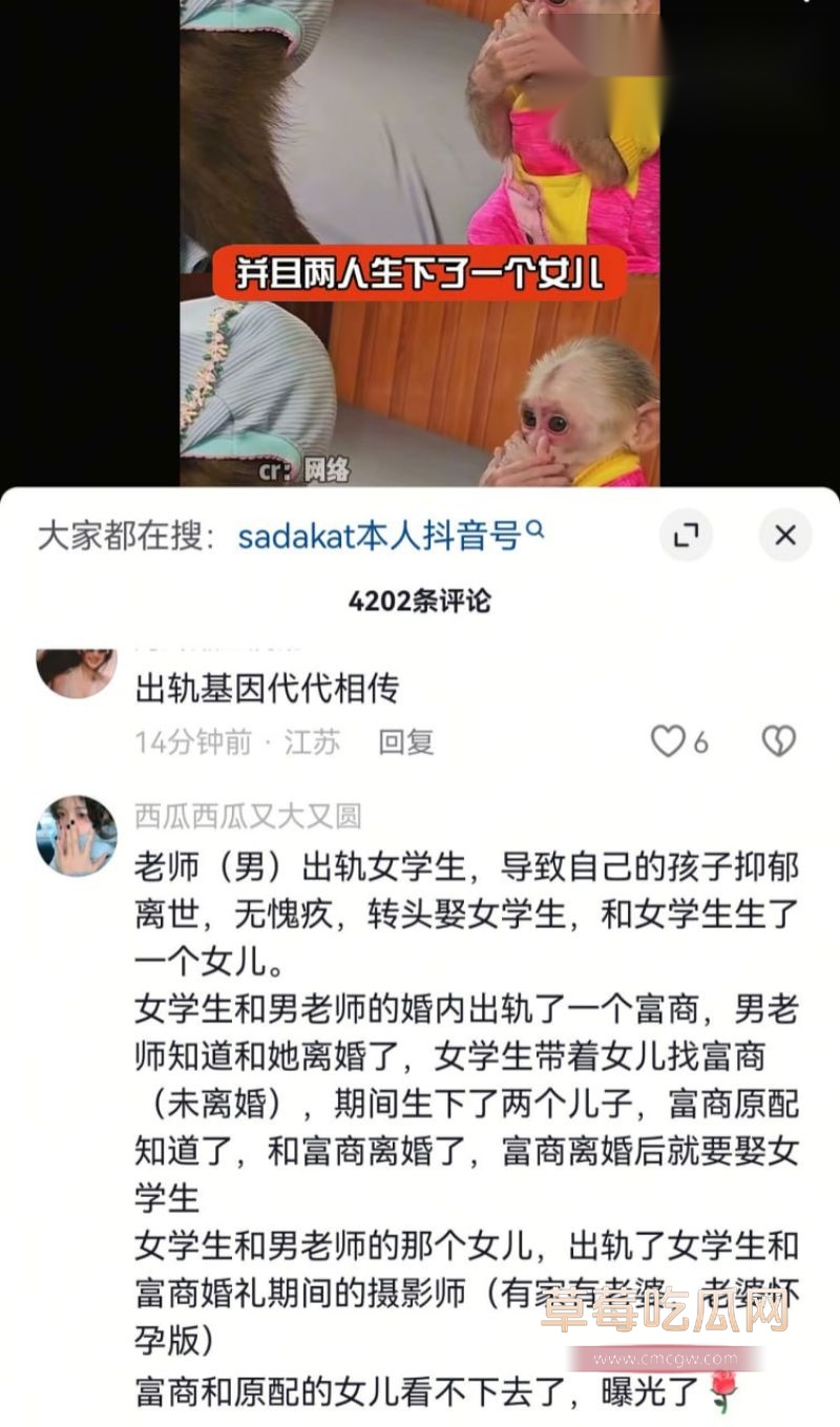 新疆网红Sadakat事件3 新疆网红Sadakat事件3