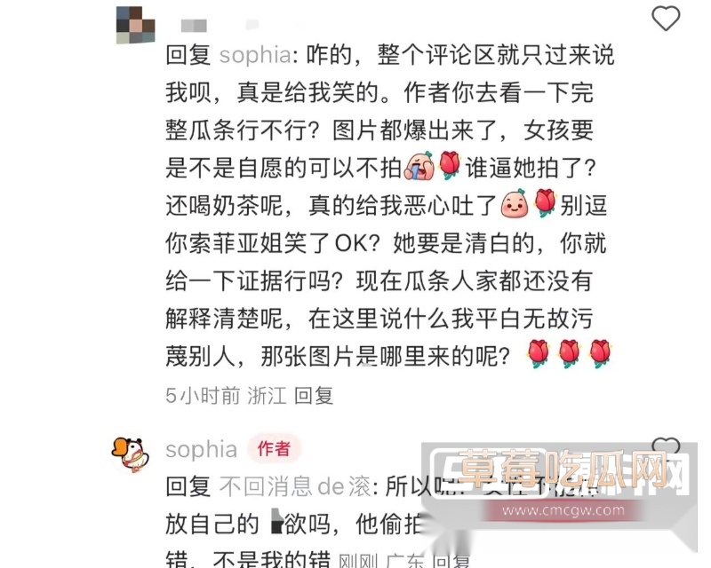 索菲亚 12 索菲亚 12