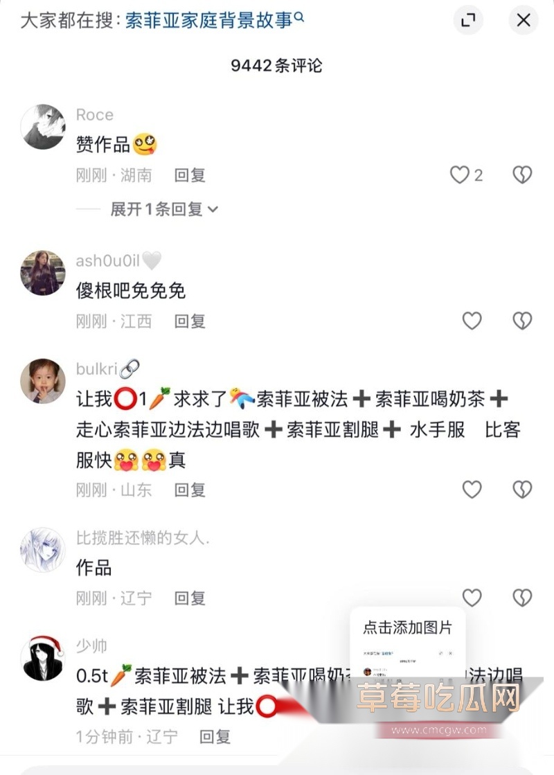 索菲亚 13 索菲亚 13